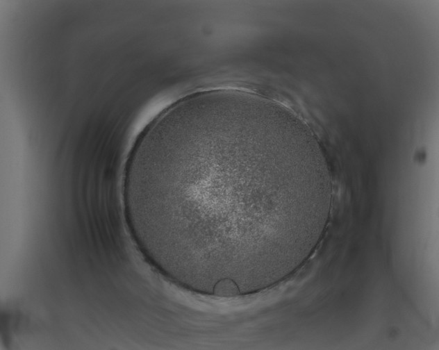 X0000094820006200711241518