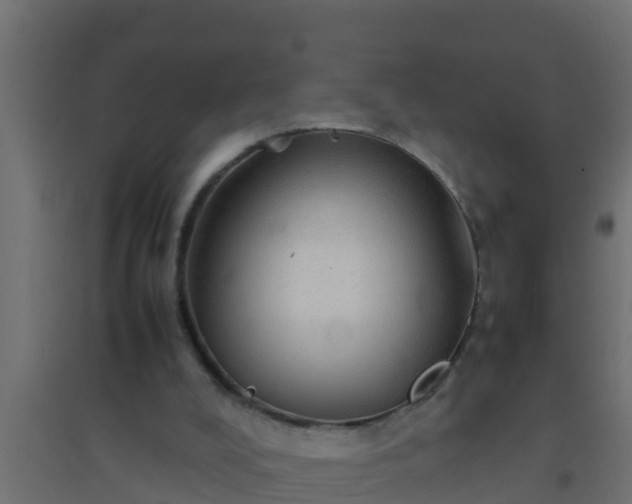 X0000094820008200711241518