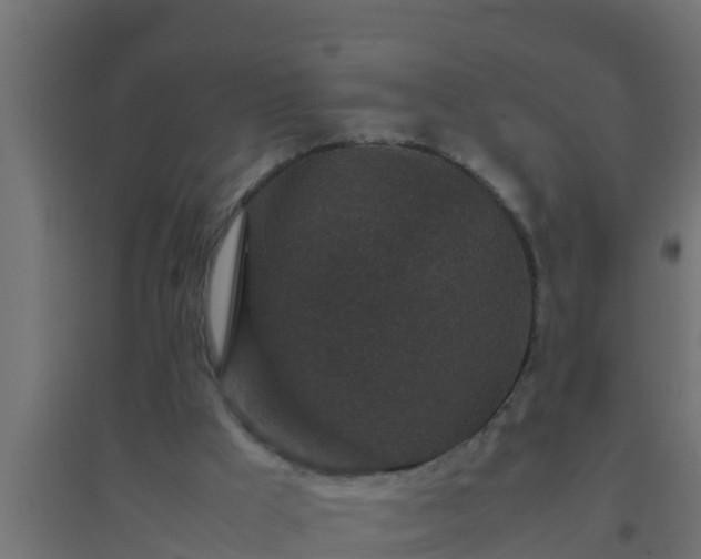 X0000094820009200711241518