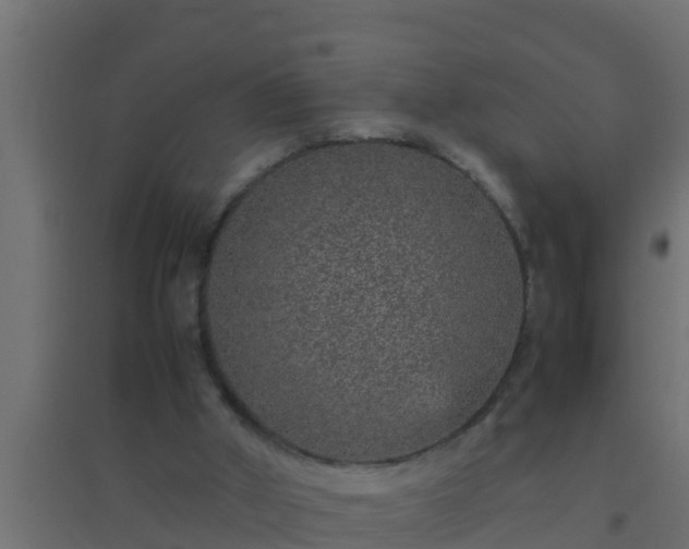 X0000094820010200711241518