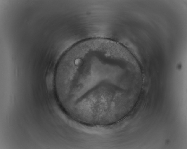 X0000094820012200711241518