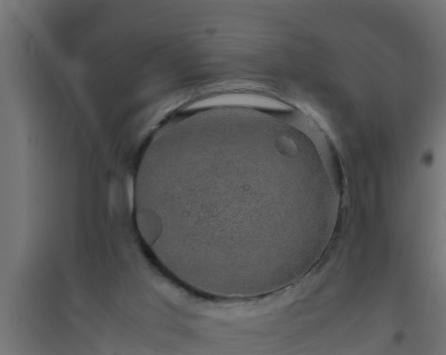 X0000094820013200711241518