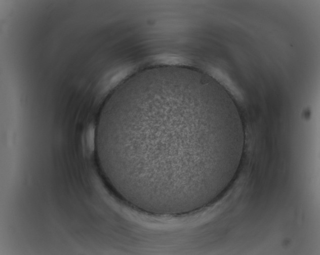 X0000094820014200711241518