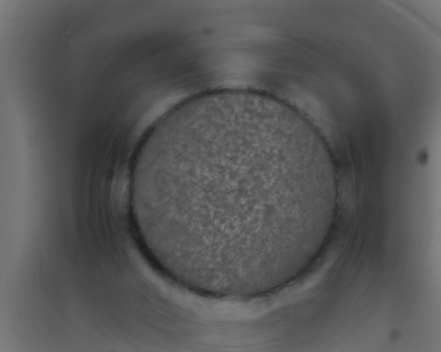 X0000094820016200711241518