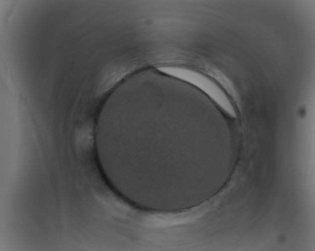 X0000094820017200711241518