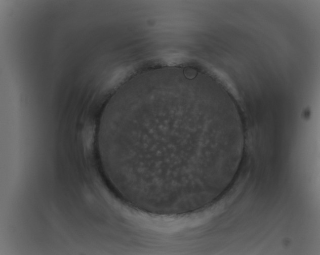 X0000094820018200711241518