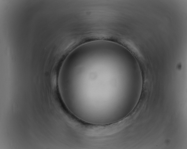 X0000094820021200711241518