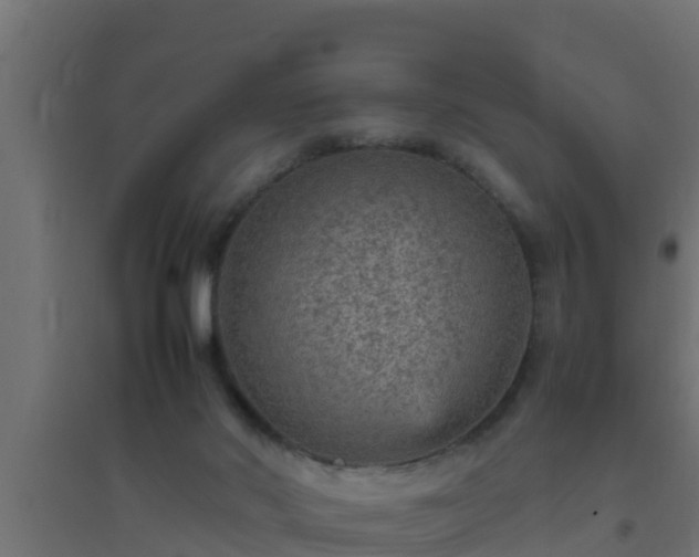 X0000094820022200711241518