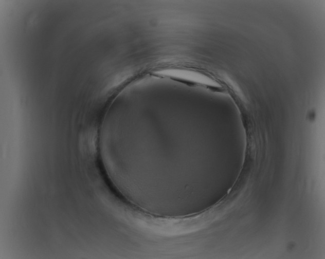 X0000094820023200711241518