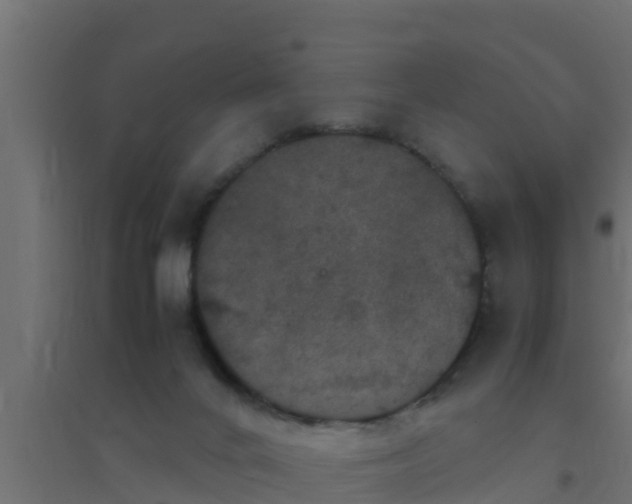 X0000094820024200711241518