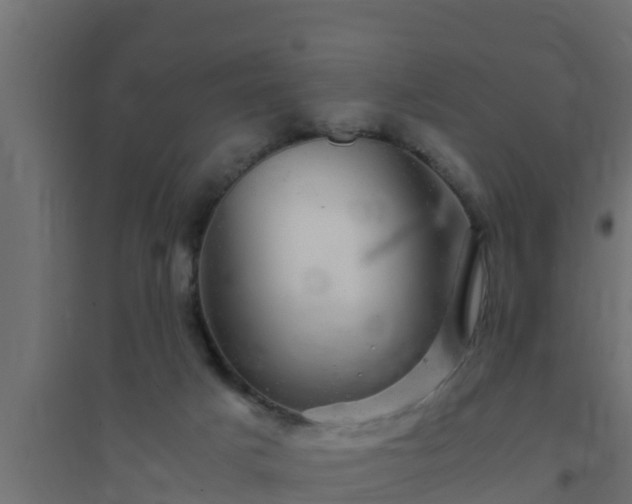 X0000094820025200711241518