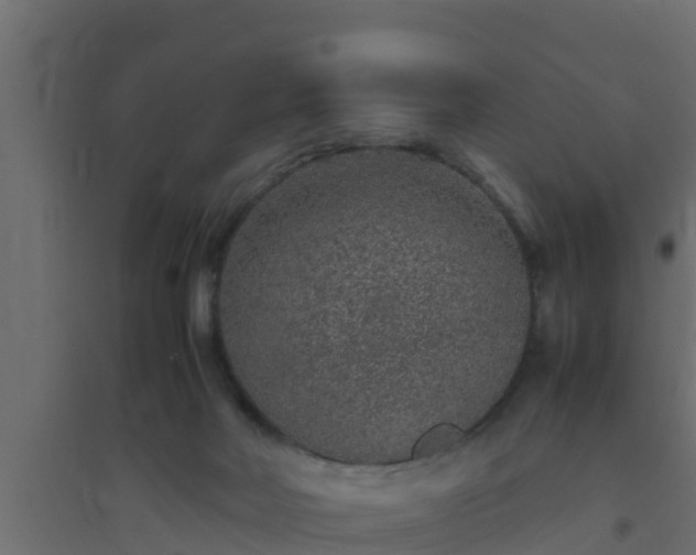 X0000094820026200711241518