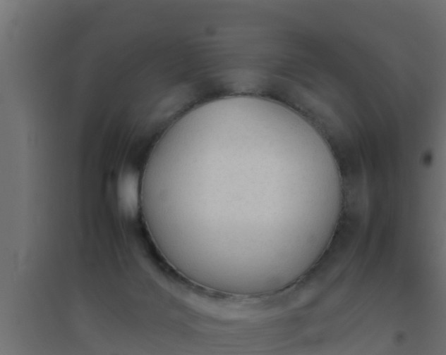 X0000094820028200711241518