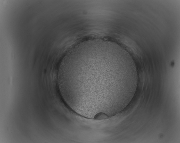 X0000094820034200711241518