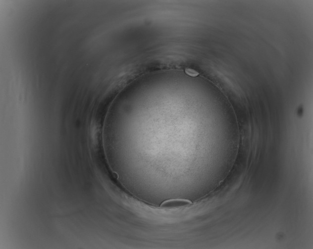 X0000094820038200711241518