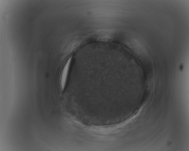 X0000094820041200711241518
