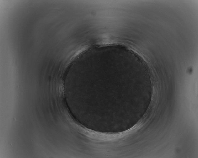 X0000094820048200711241518