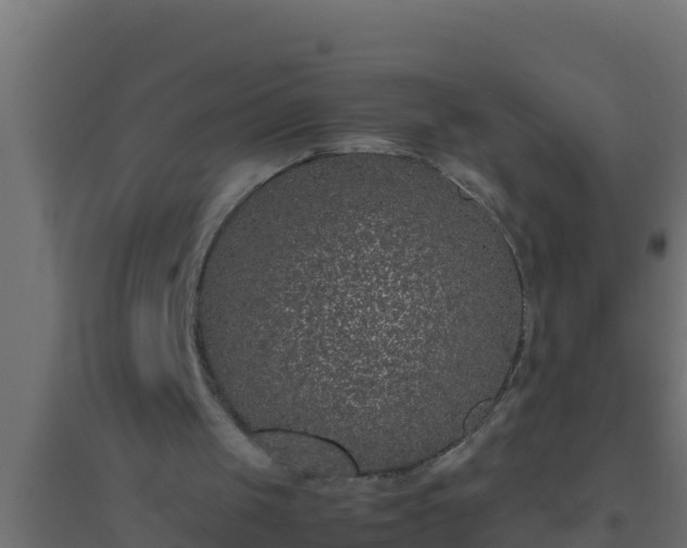 X0000094820049200711241517