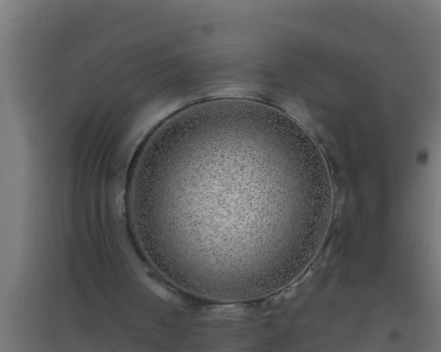 X0000094820050200711241517