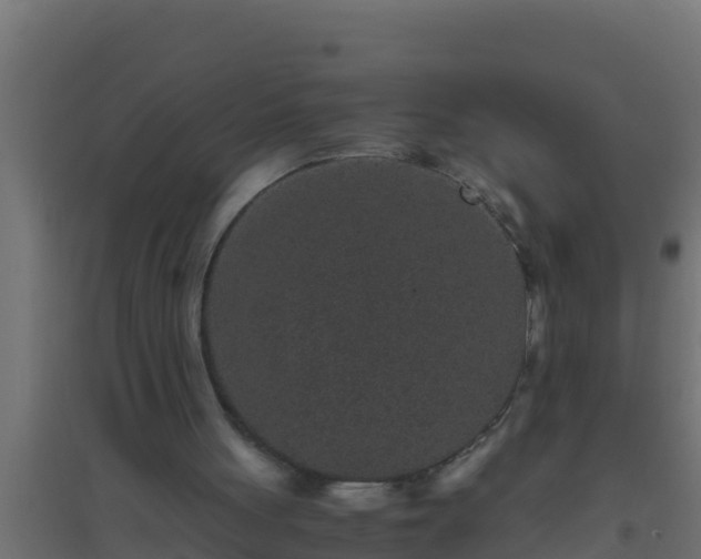 X0000094820051200711241517