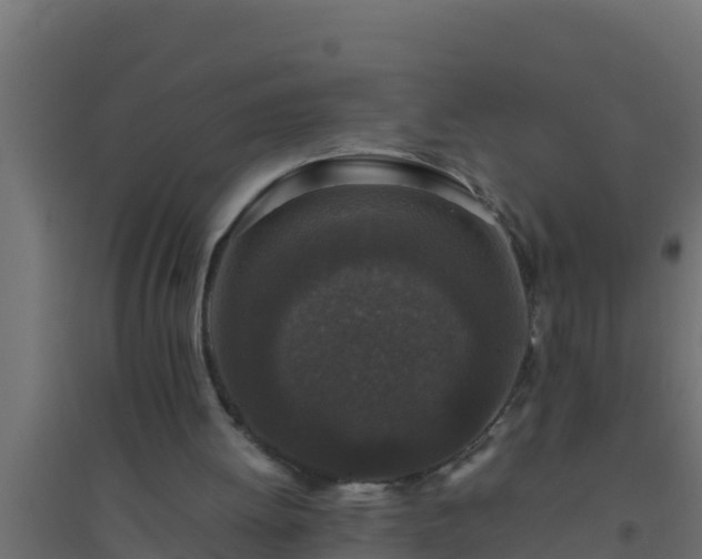 X0000094820052200711241517