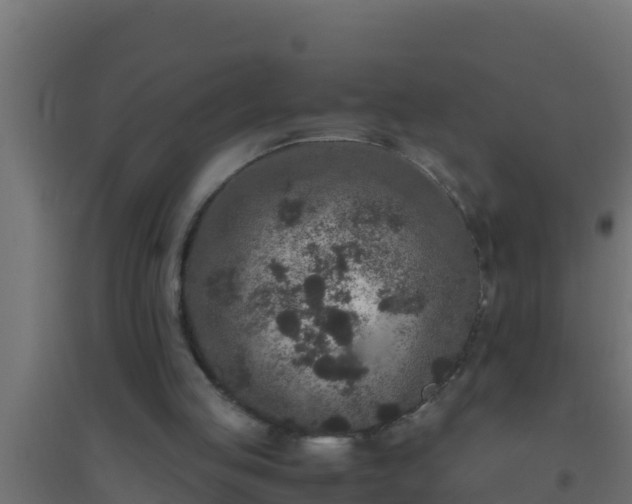 X0000094820053200711241517