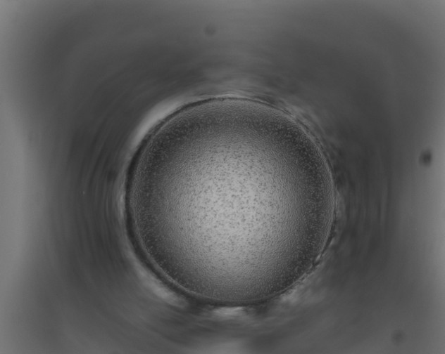 X0000094820054200711241517