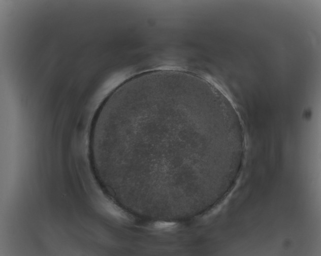 X0000094820055200711241517