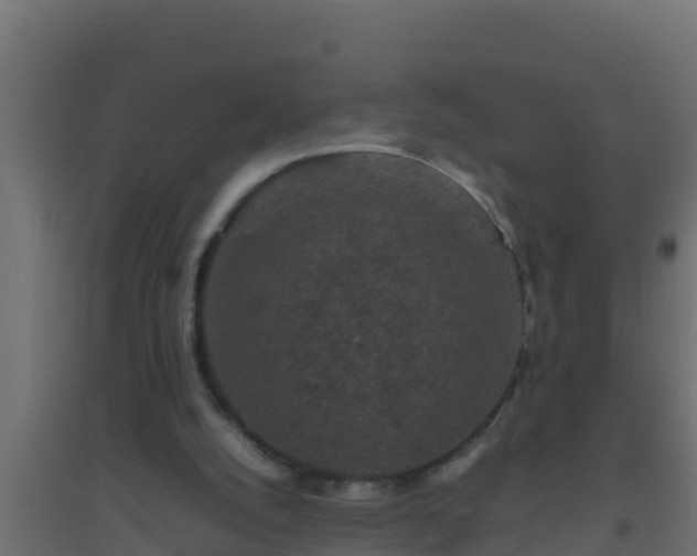 X0000094820056200711241517