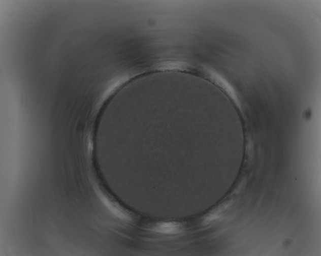 X0000094820059200711241517
