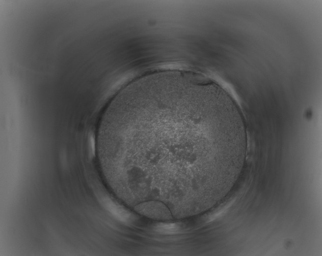 X0000094820061200711241517