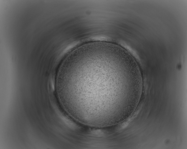 X0000094820062200711241517