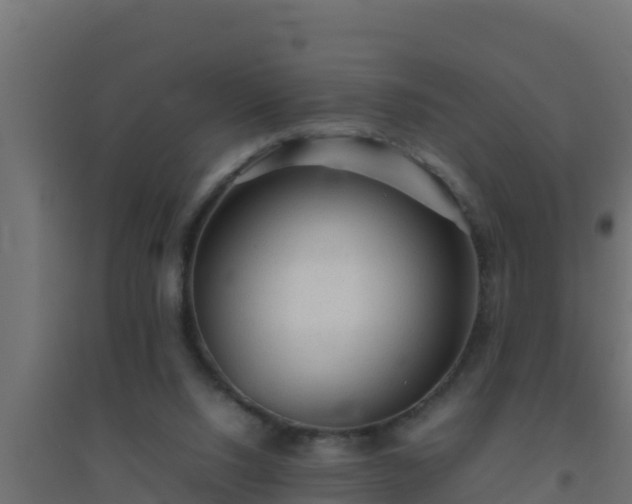 X0000094820064200711241517