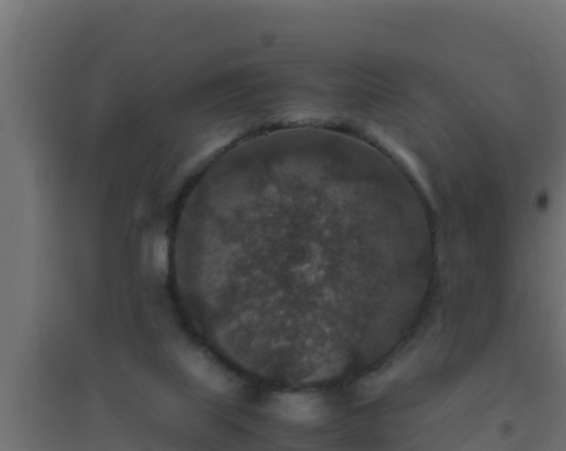 X0000094820067200711241517