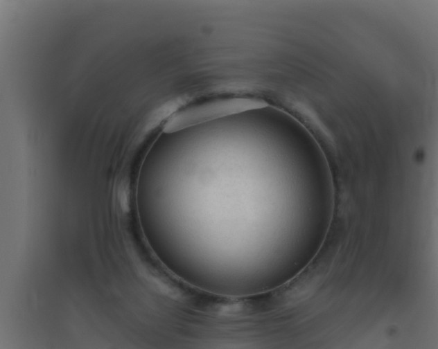 X0000094820068200711241517