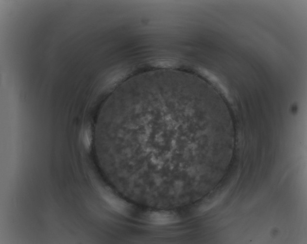 X0000094820069200711241517