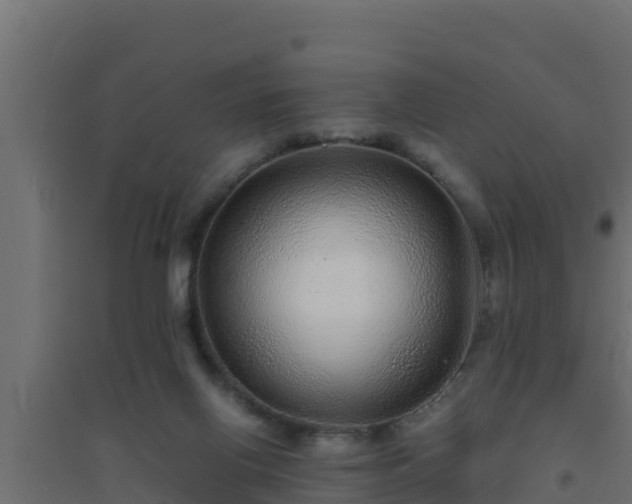 X0000094820070200711241517