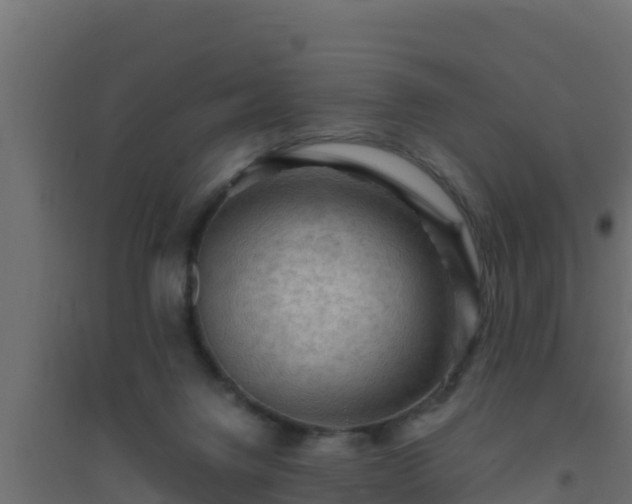 X0000094820072200711241517
