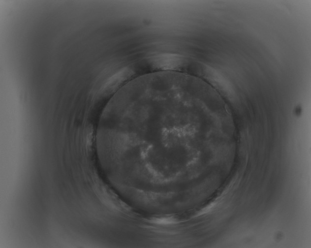 X0000094820073200711241517