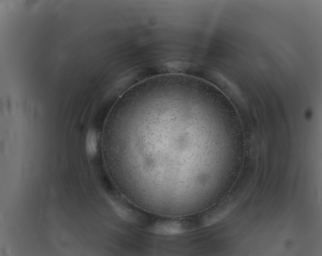 X0000094820075200711241517