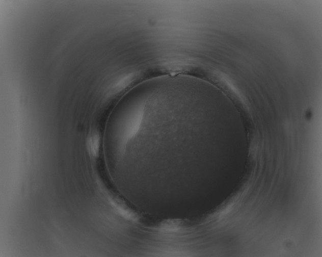 X0000094820076200711241517
