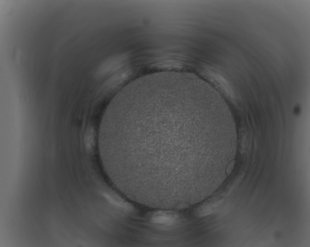 X0000094820077200711241517