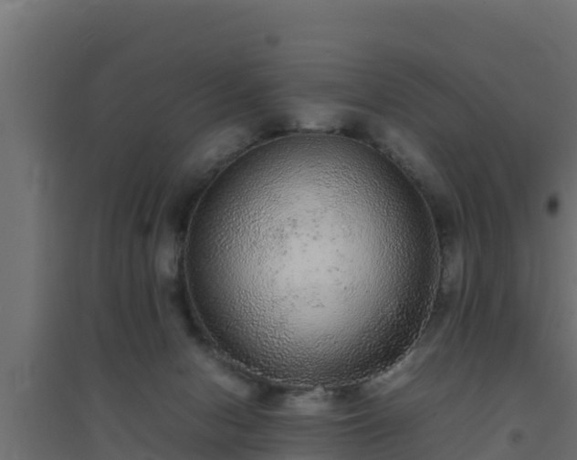 X0000094820078200711241517