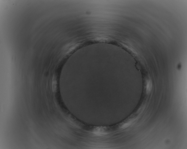 X0000094820080200711241517