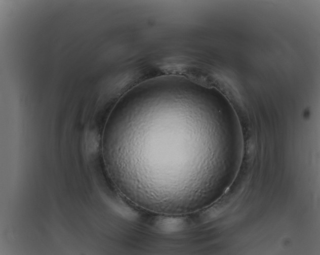X0000094820081200711241517