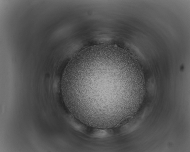 X0000094820083200711241518
