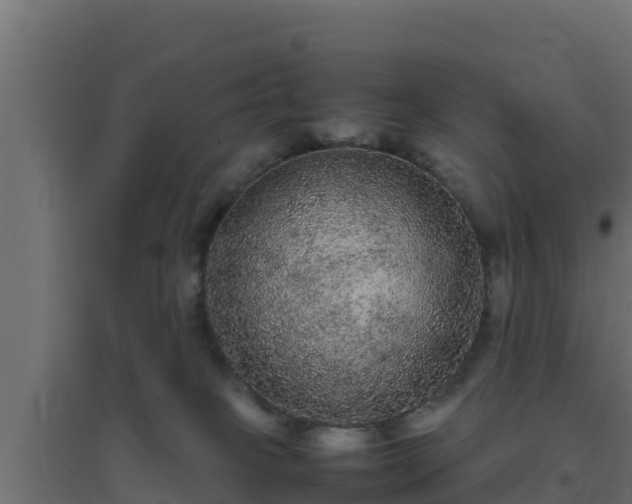 X0000094820085200711241518