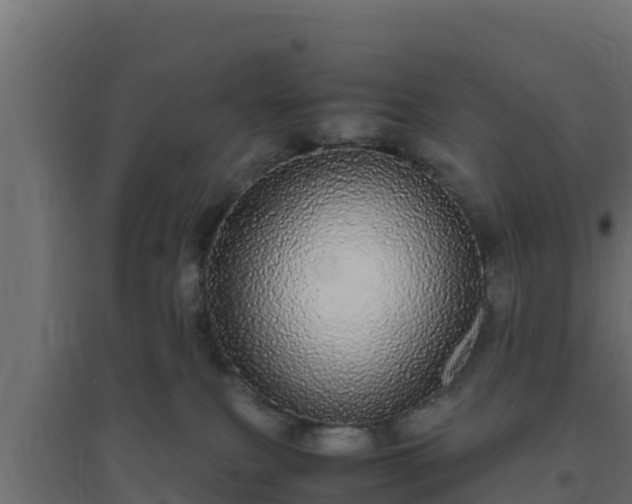 X0000094820087200711241518
