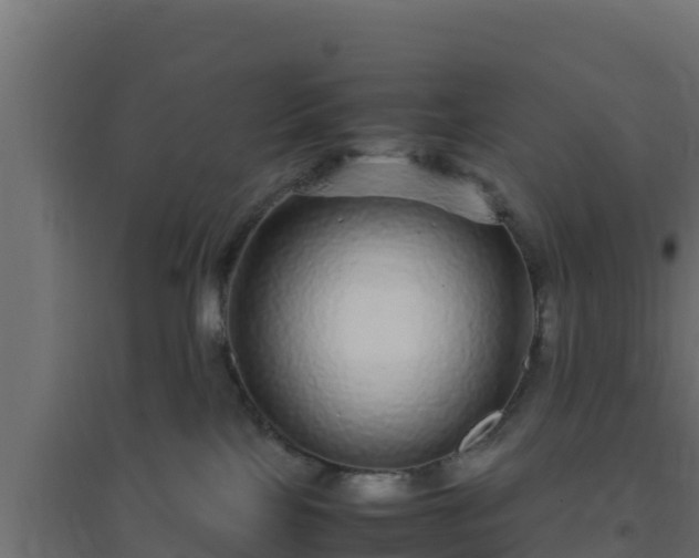 X0000094820089200711241518
