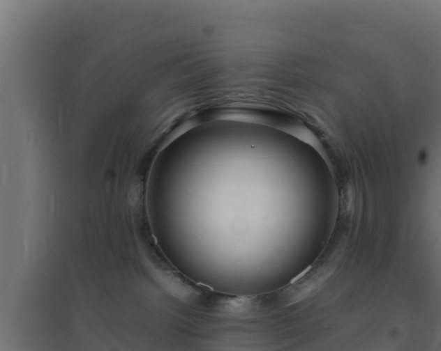 X0000094820092200711241518